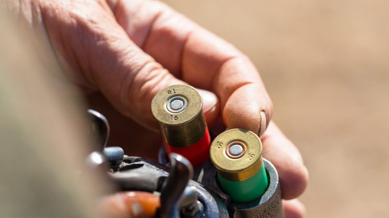 Are the pillars of the EU’s lead ammunition ban starting to crumble?